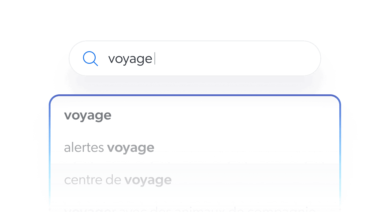 Suggestions de requêtes