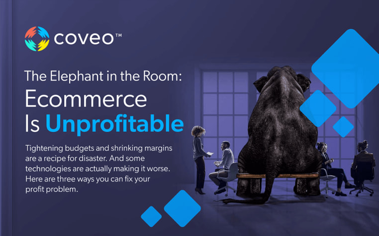 How to increase your ecommerce profitability  with AI artificial intelligence - free ebook 