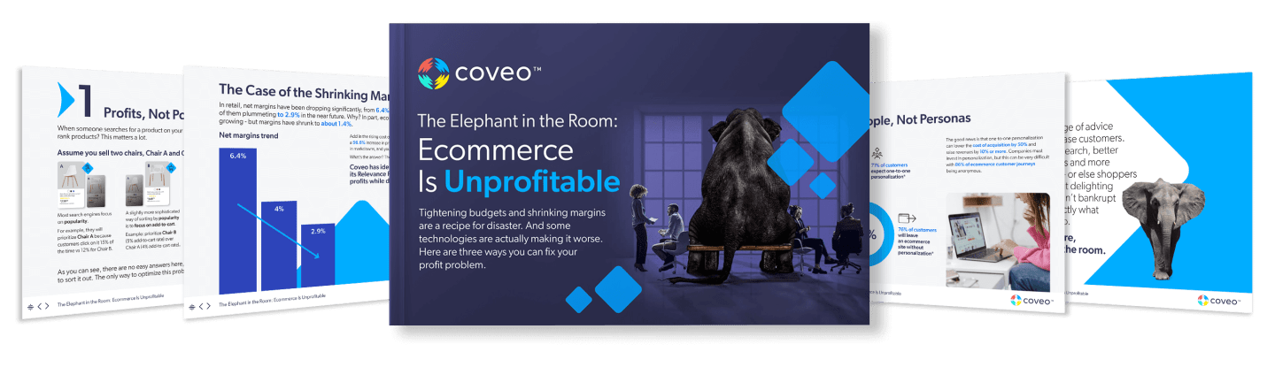 Ebook How to maximize your ecommerce profitability with AI