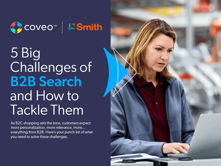 B2B search challenges