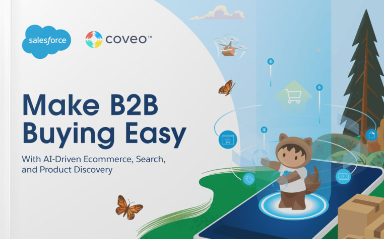 Deliver Great B2B Ecommerce Buying Experiences