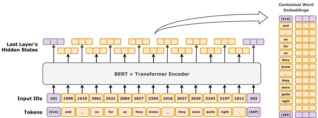 A high-level workflow of BERT.