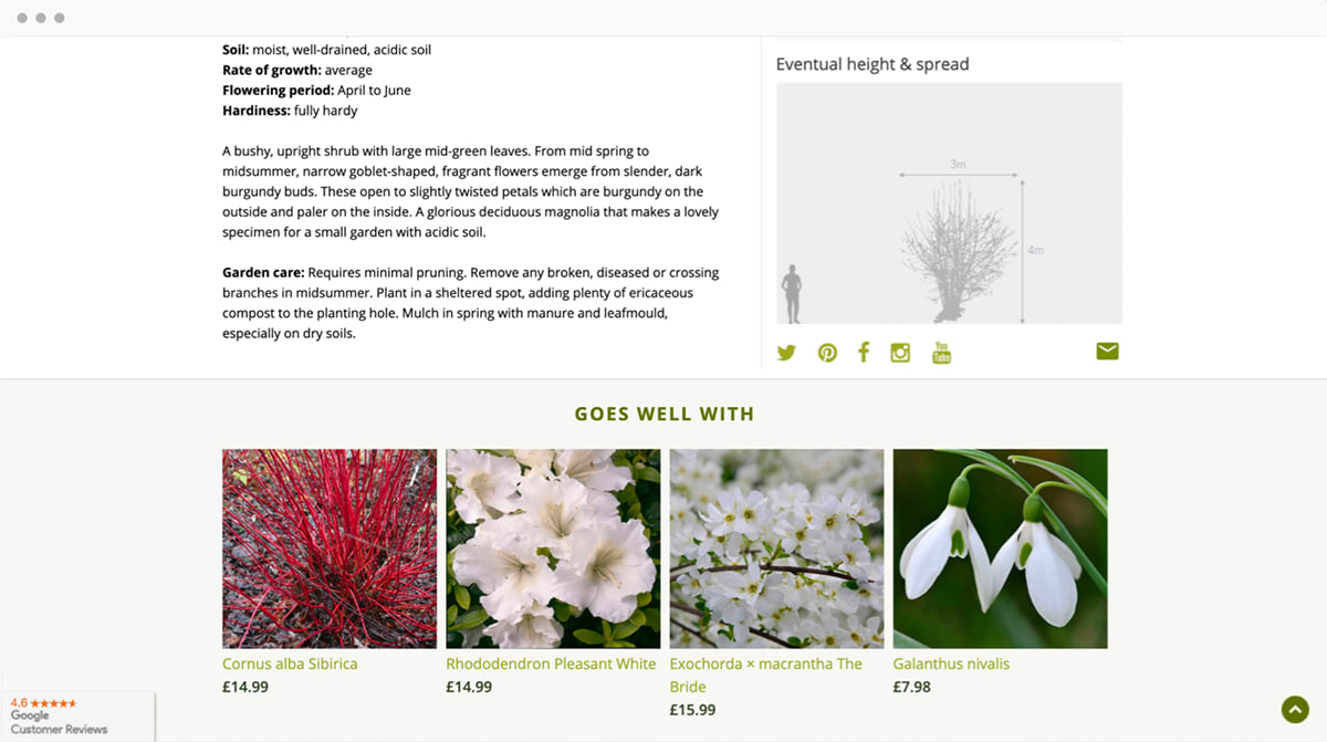 A screenshot of Crocus's website shows additional plants that pair well with the current product description page