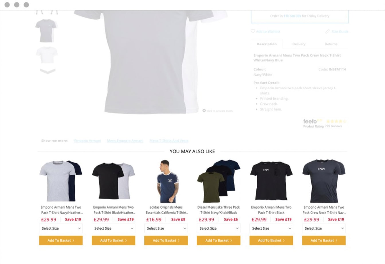 A screenshot displays a product description page that has an 'You May Also Like' section