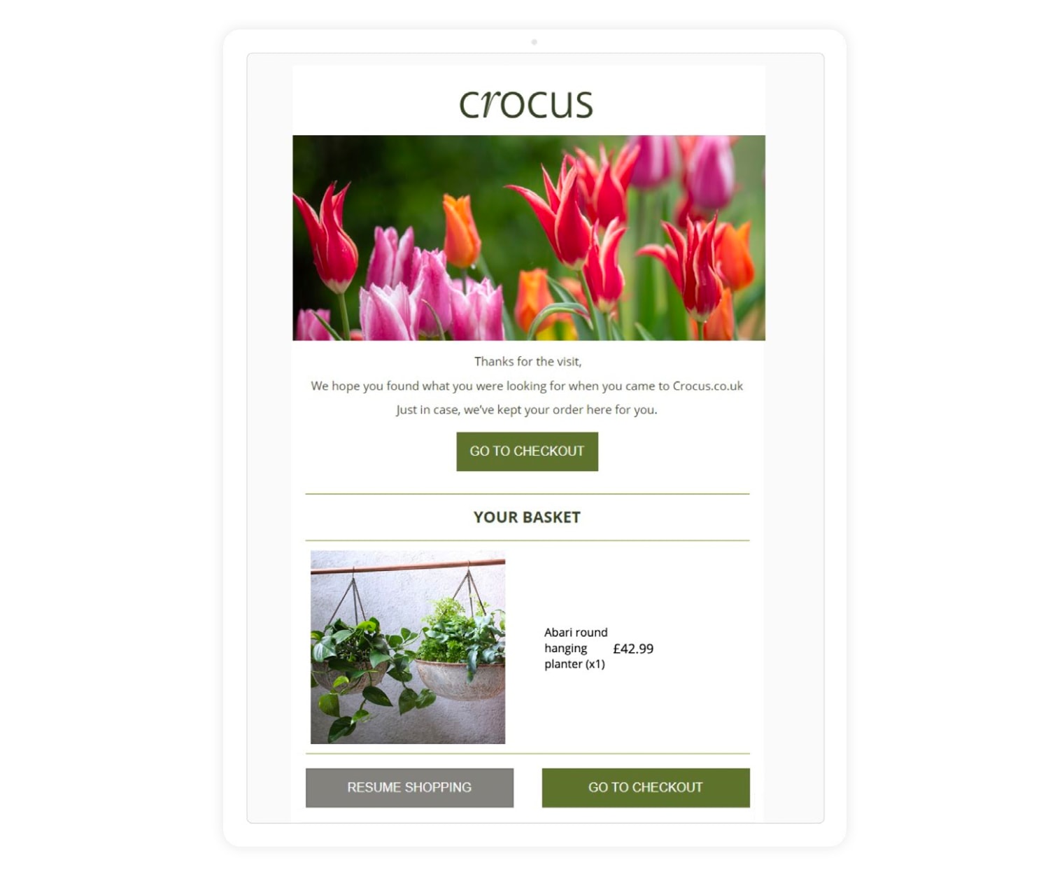 Ecommerce personalization example: Crocus, attract lost buyers