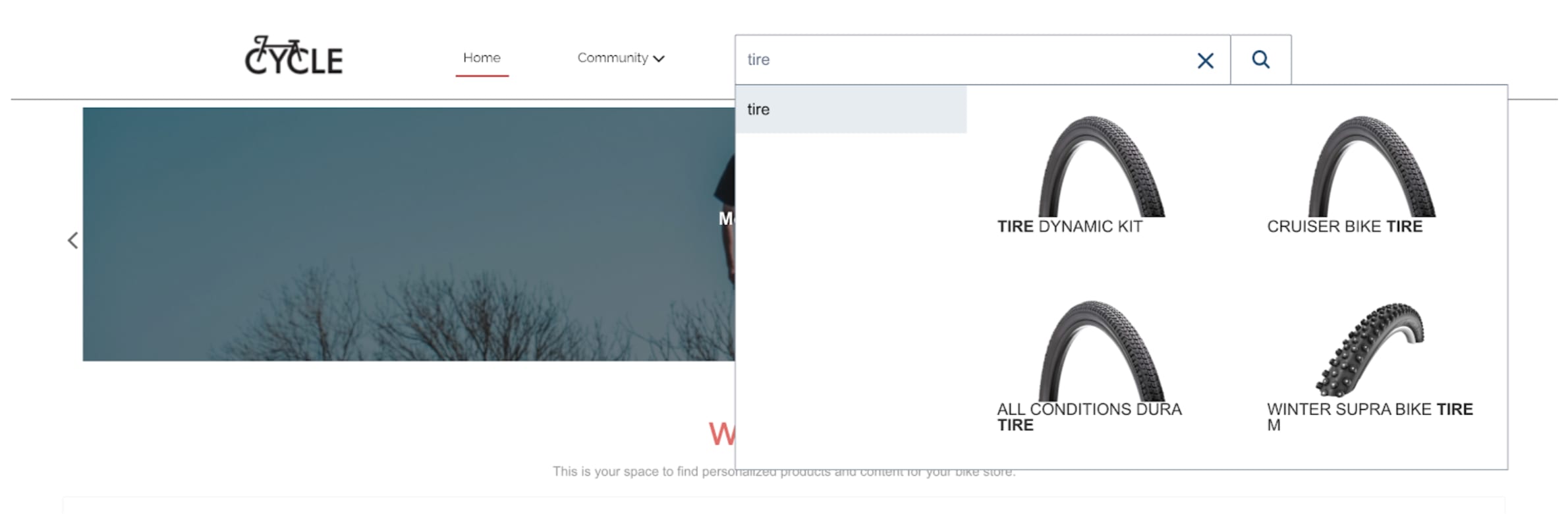 A screen capture shows a bicycle parts manufacturer website offering images of different bike tires.