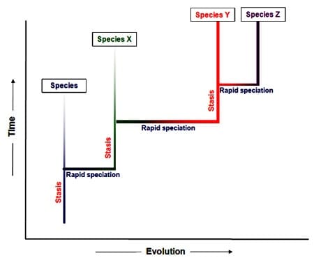 Evolutionary biology