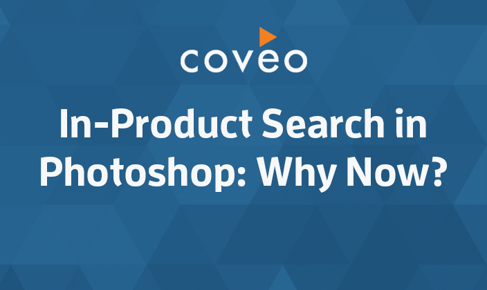 in-product search
