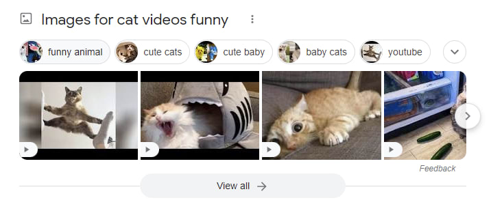 A screenshot of relevant search results for query