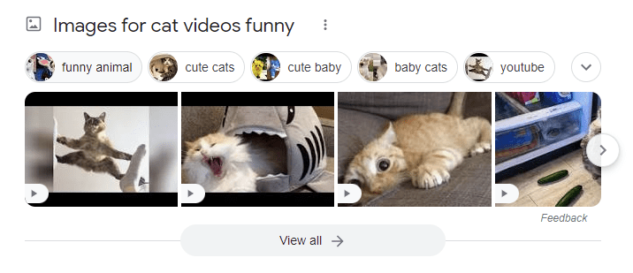 A screenshot of relevant search results for query