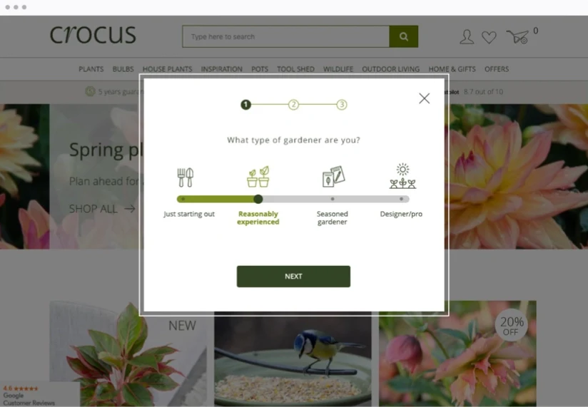 A screenshot shows a multi-step questionnaire to identify user intent.